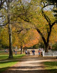 Fall in the Center Village