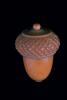 Image ID = 1011