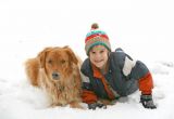 Dog Days for Members