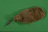 Image ID = 24399