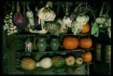 Food and Dining