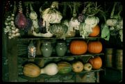 Harvest 