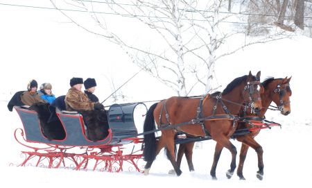 Antique sleigh rally at Old Sturbridge Village